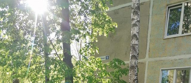 Пока женщина была на даче, во дворе ее дома спилили деревья